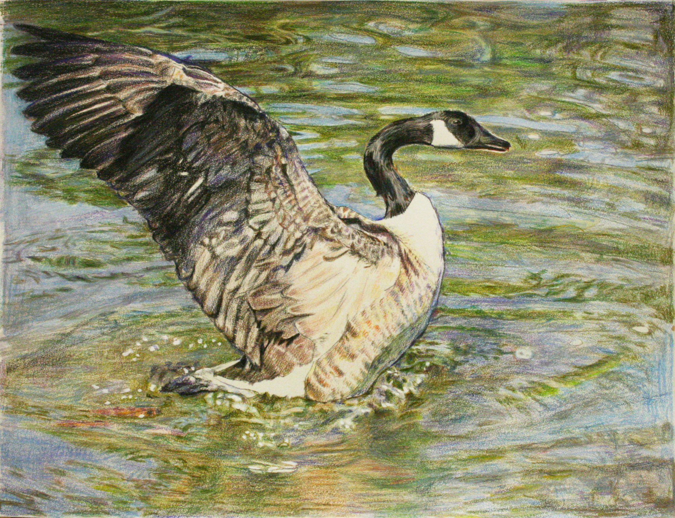 In Flight