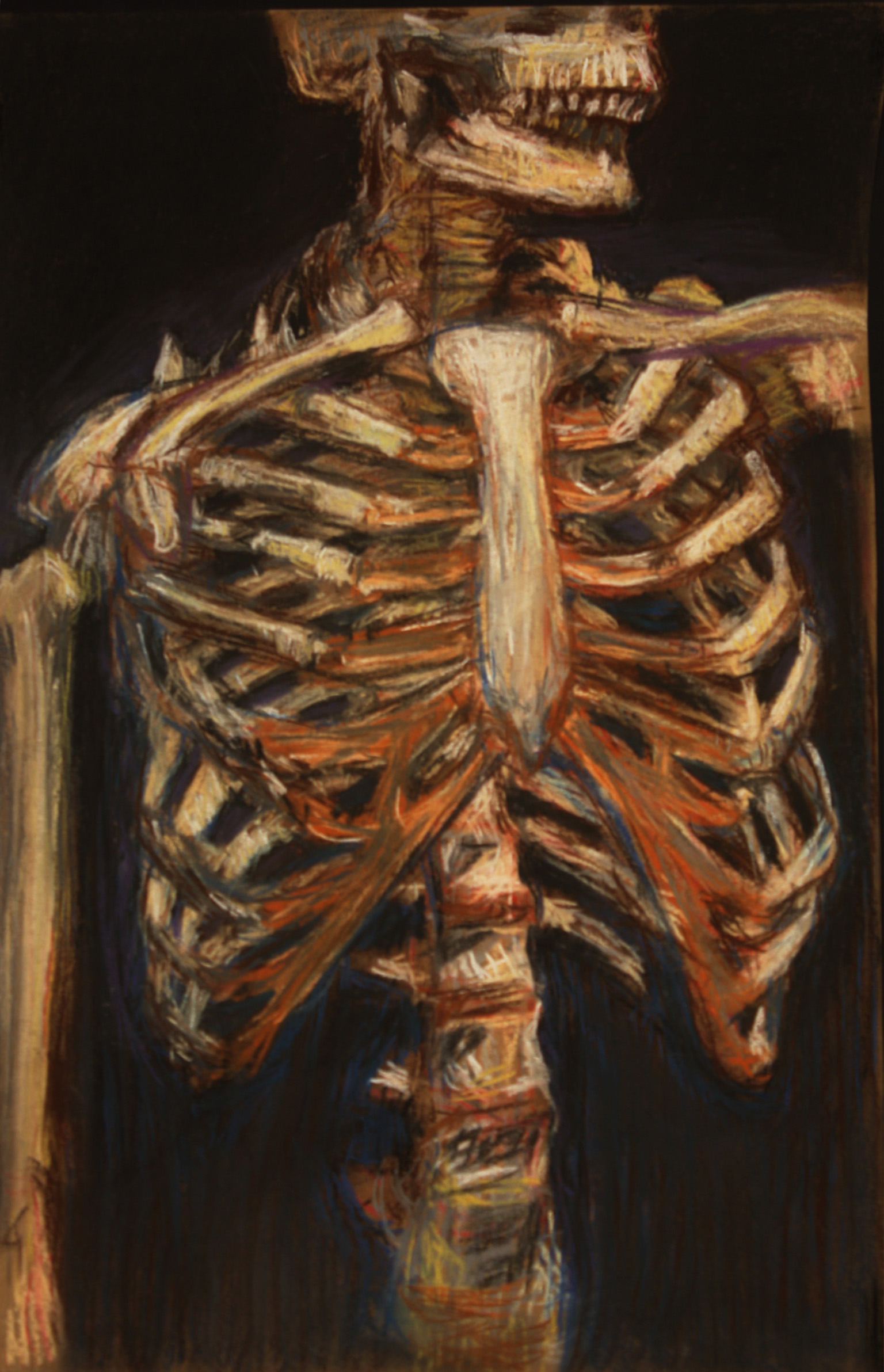 Ribs