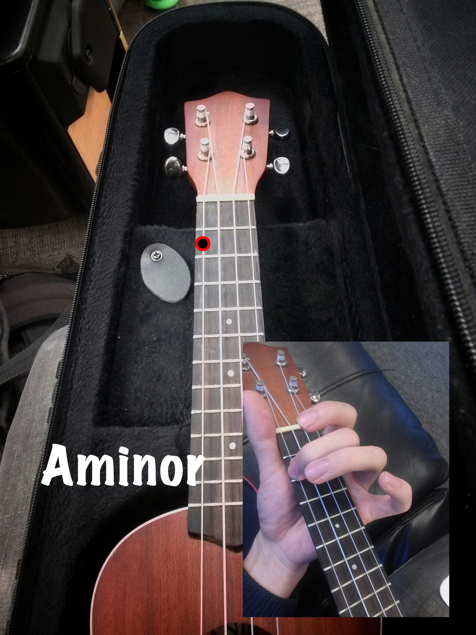 aminor