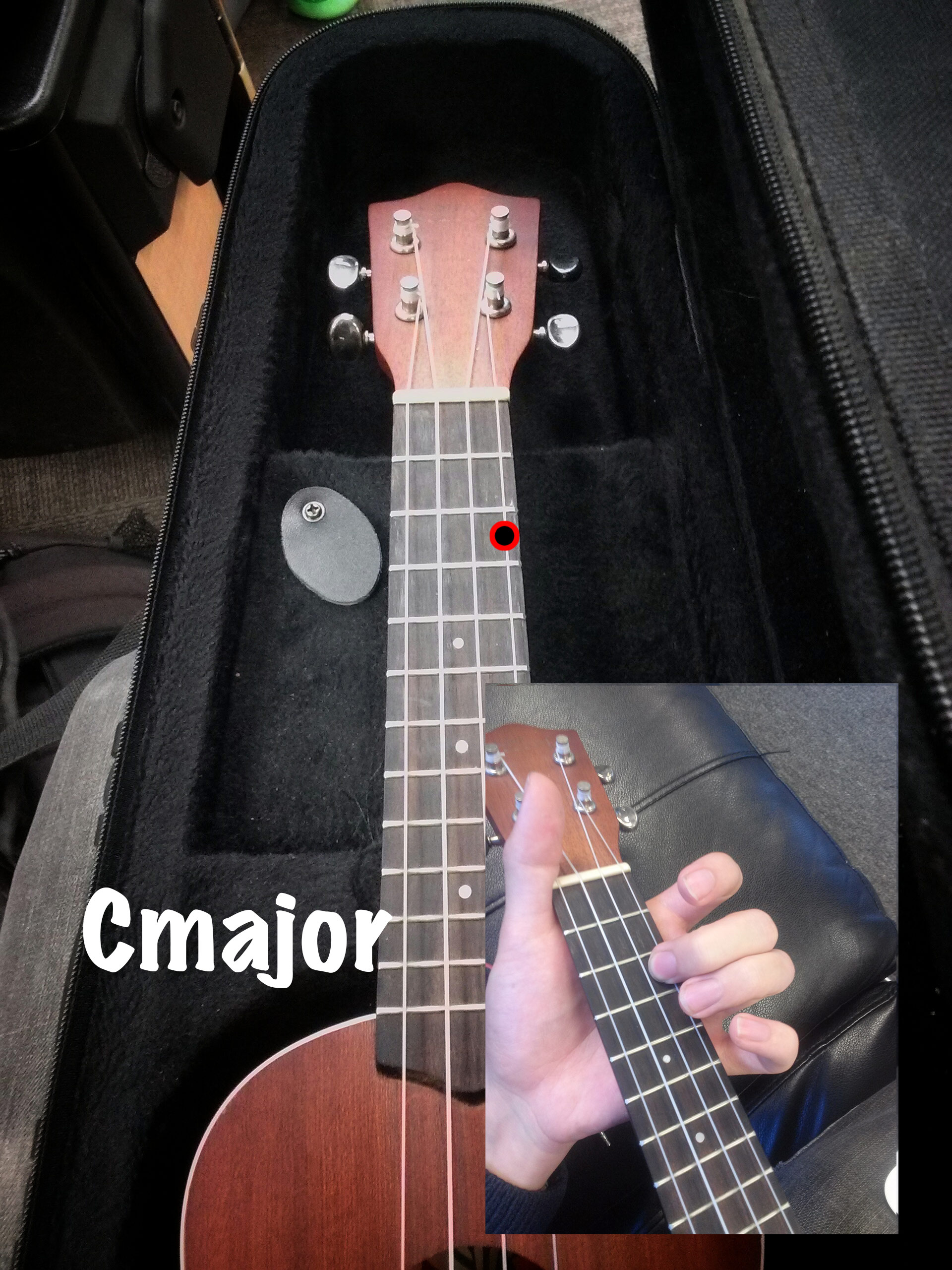 cmajor