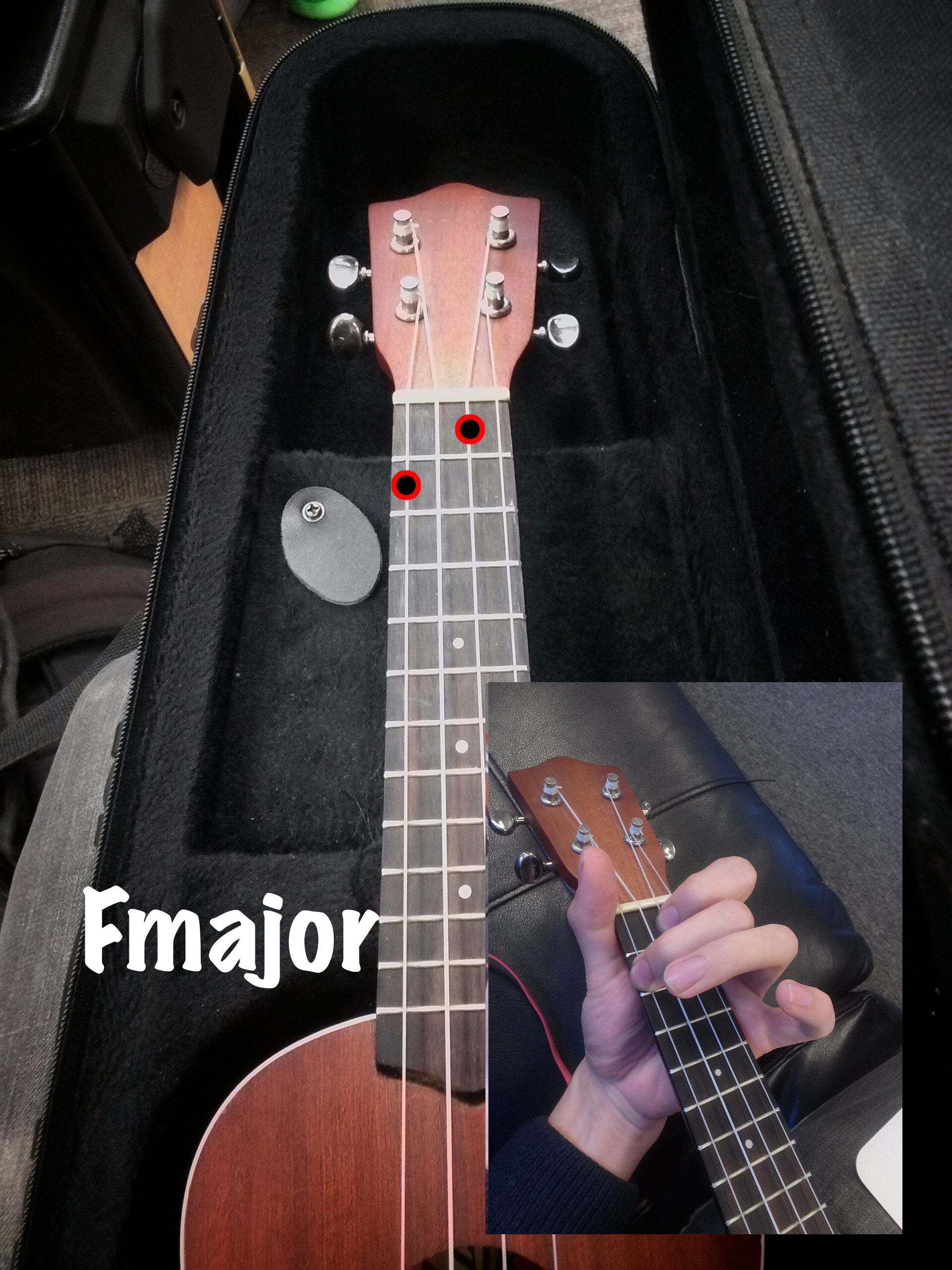 fmajor