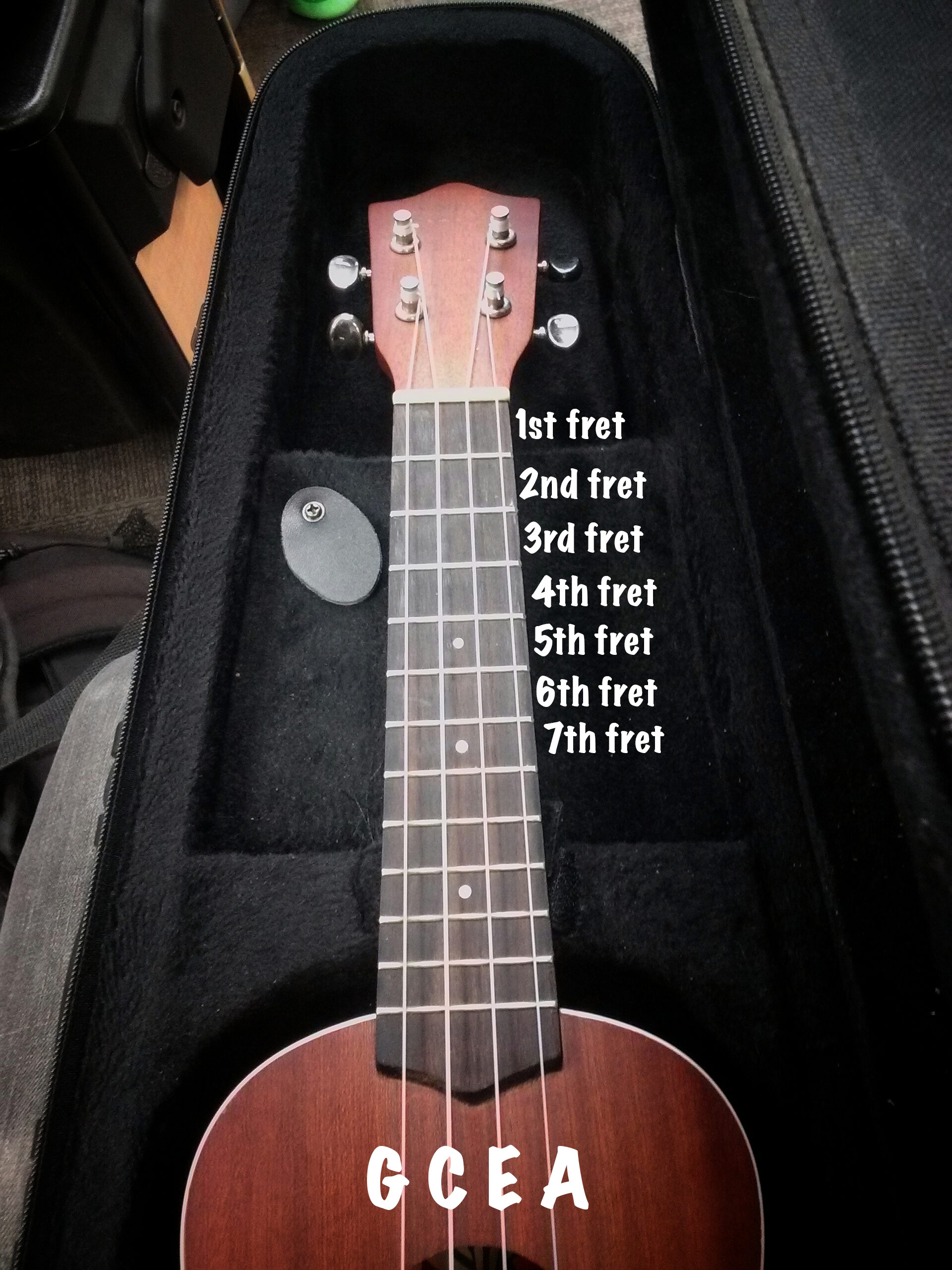 fretandstrings